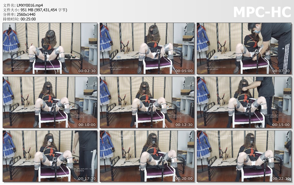 LMXY0016.mp4_thumbs.jpg