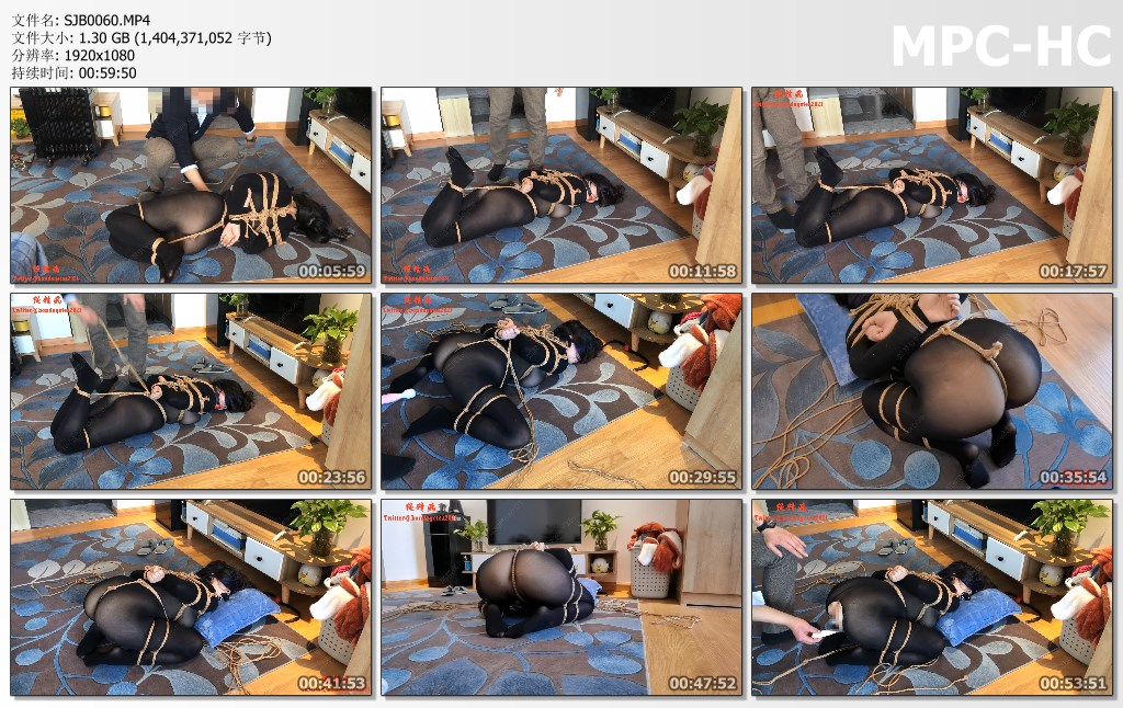 SJB0060.MP4_thumbs.jpg
