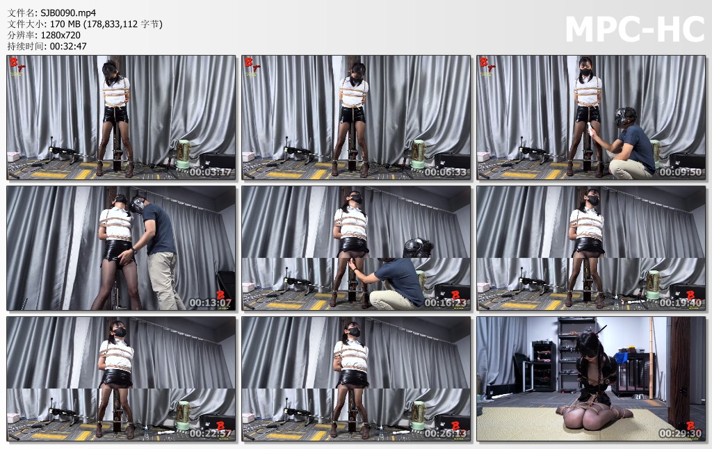 SJB0090.mp4_thumbs.jpg