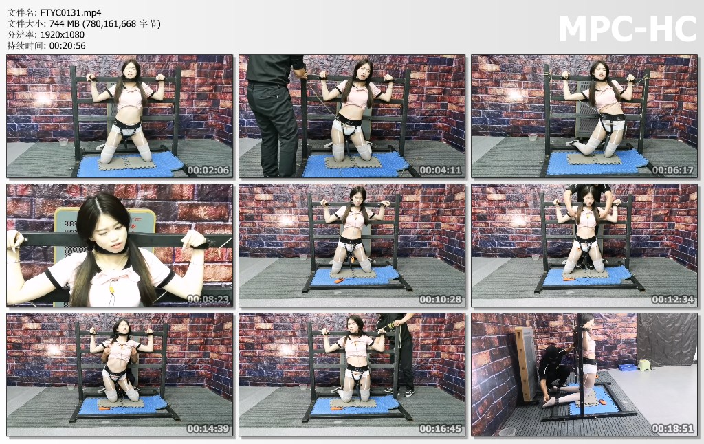FTYC0131.mp4_thumbs.jpg