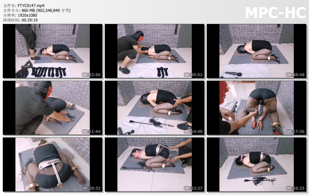 FTYC0147.mp4_thumbs.jpg