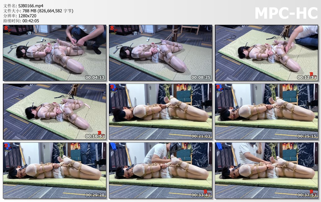 SJB0166.mp4_thumbs.jpg