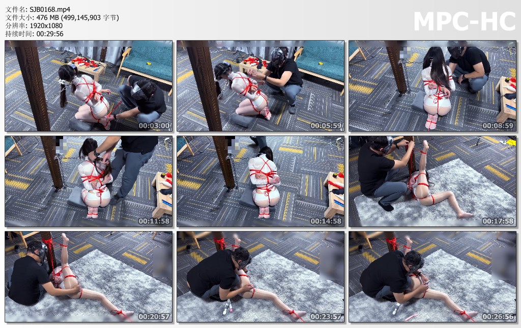 SJB0168.mp4_thumbs.jpg