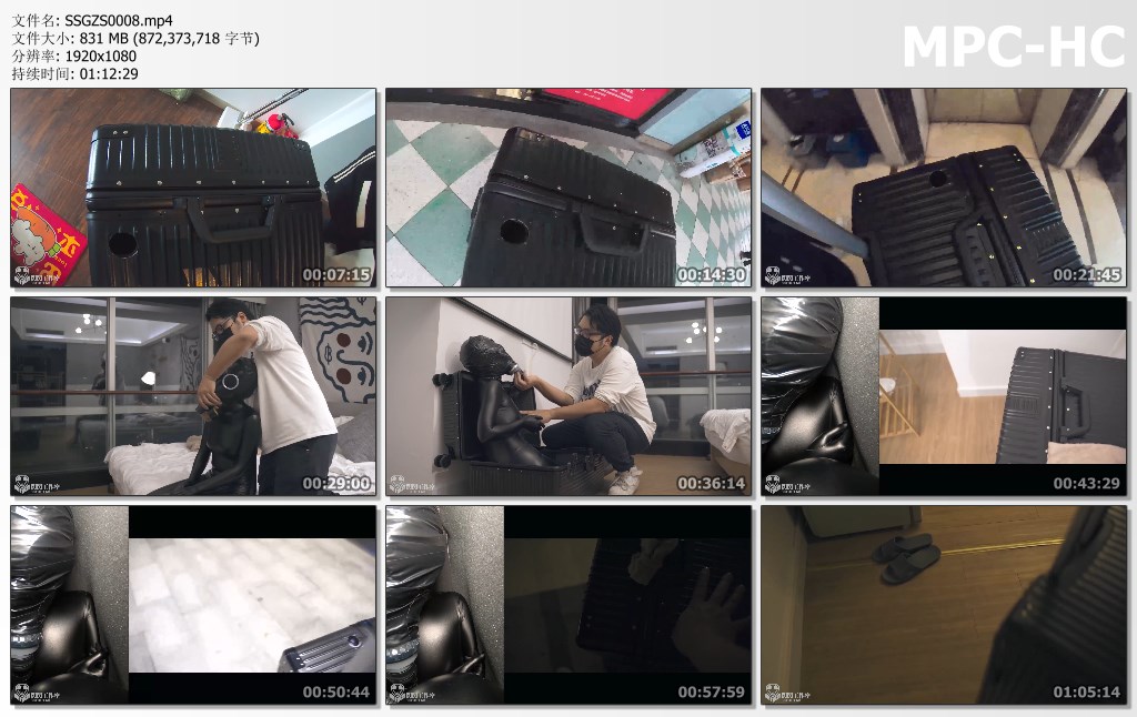 SSGZS0008.mp4_thumbs.jpg