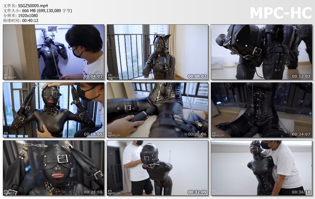 SSGZS0009.mp4_thumbs.jpg