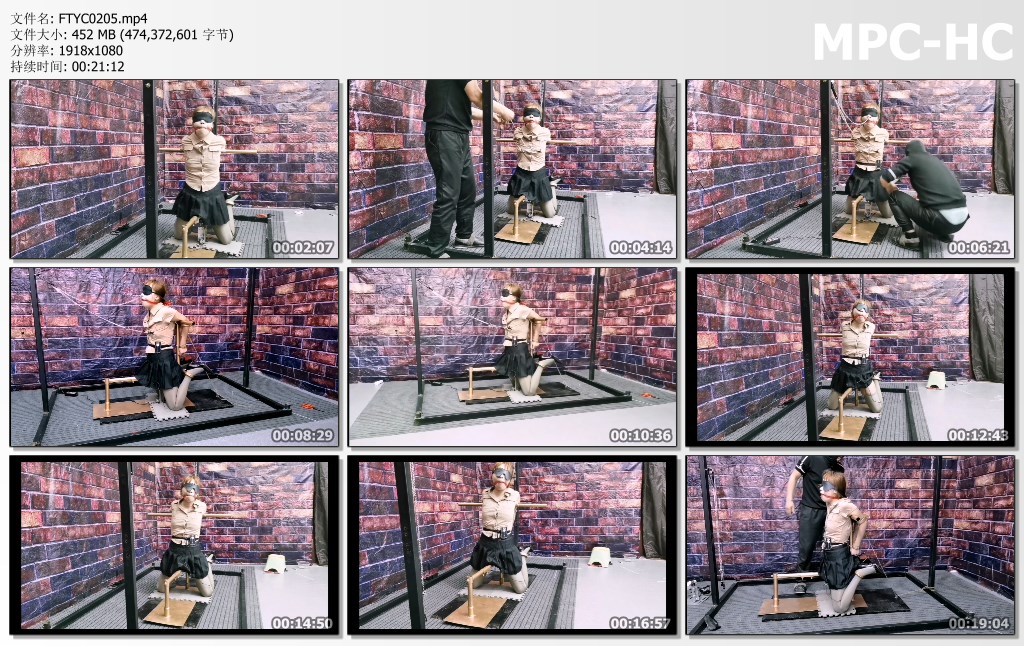 FTYC0205.mp4_thumbs.jpg