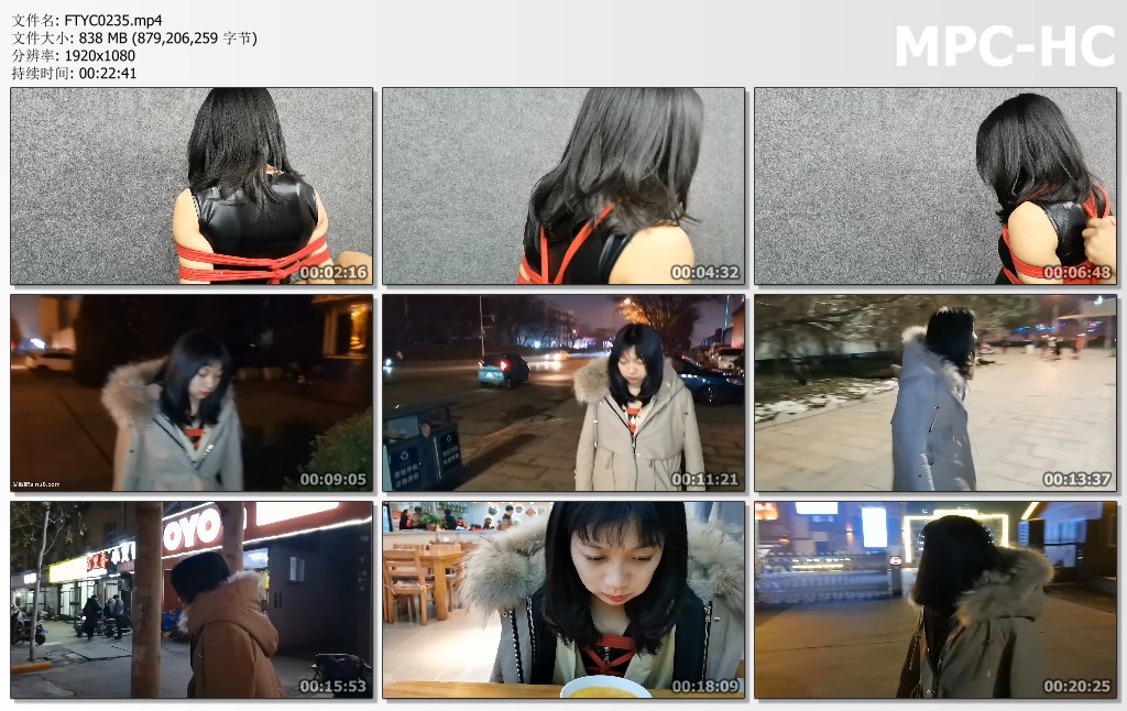 FTYC0235.mp4_thumbs.jpg