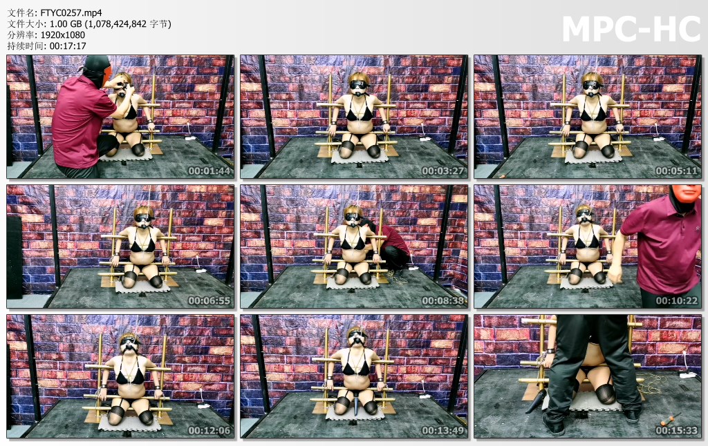 FTYC0257.mp4_thumbs.jpg