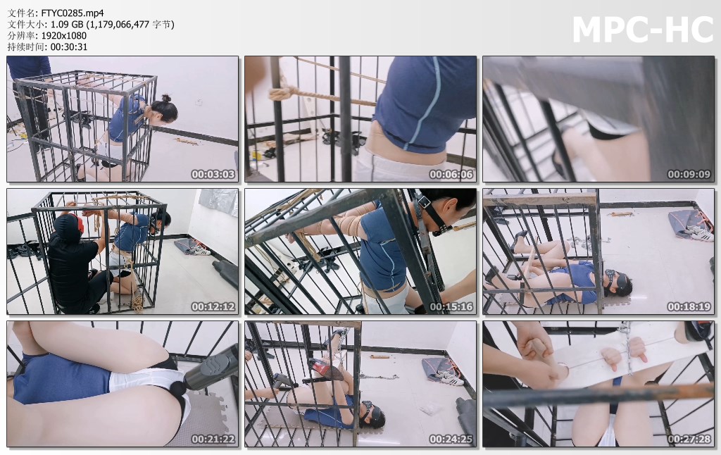 FTYC0285.mp4_thumbs.jpg