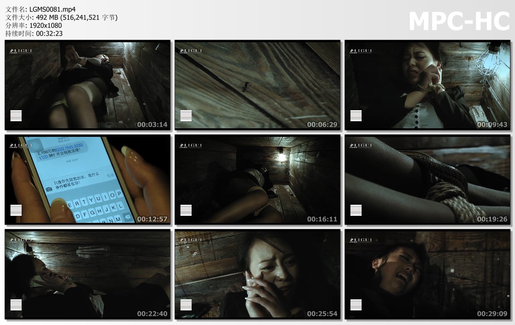 LGMS0081.mp4_thumbs.jpg