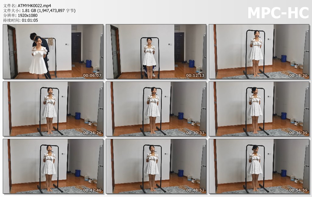 ATMYHK0022.mp4_thumbs.jpg