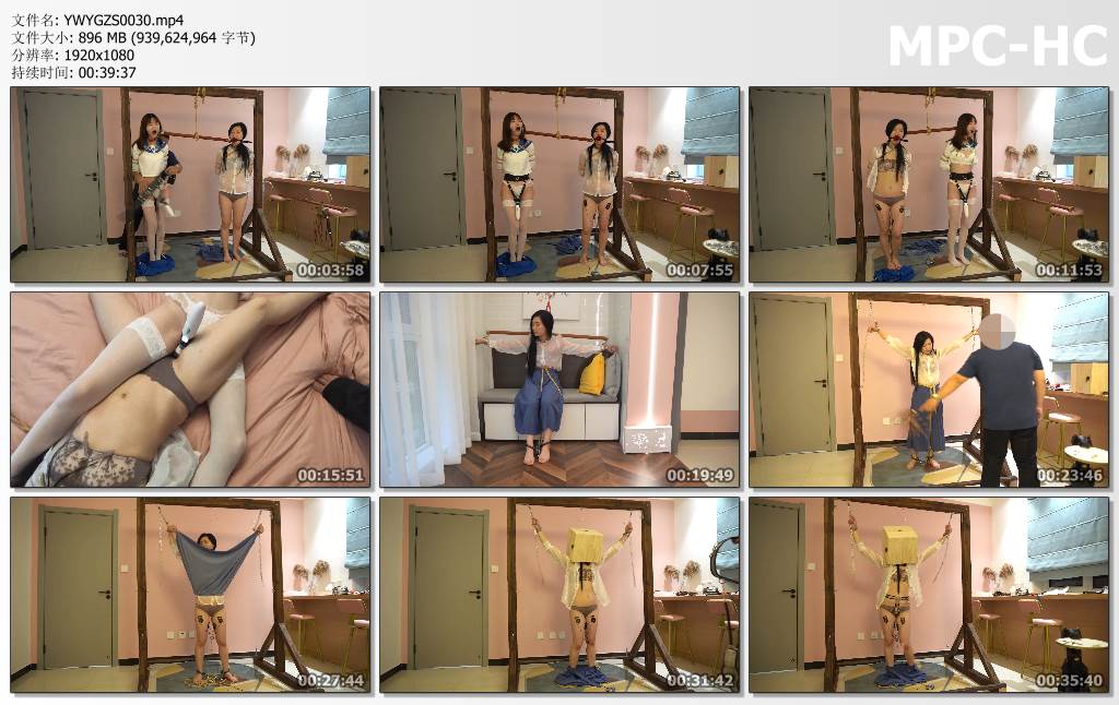 YWYGZS0030.mp4_thumbs.jpg