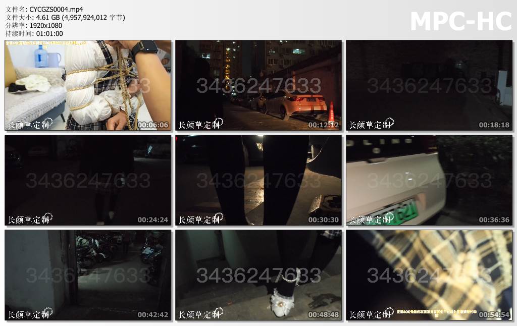 CYCGZS0004.mp4_thumbs.jpg