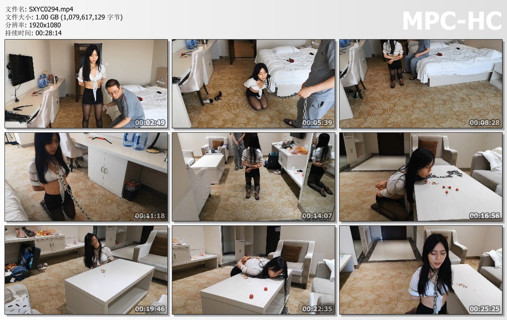 SXYC0294.mp4_thumbs.jpg