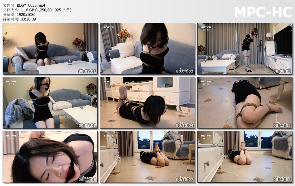 BDSYT0035.mp4_thumbs.jpg