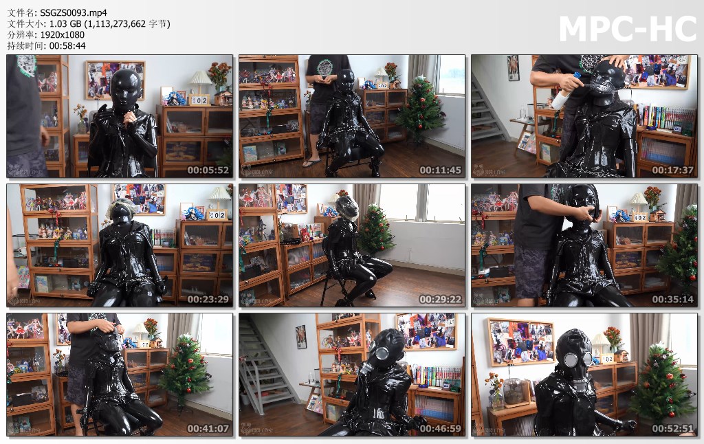 SSGZS0093.mp4_thumbs.jpg