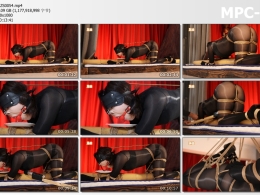 路由工作室_考拉式柱缚 痛苦鼻钩