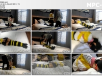嗷大喵工作室_胶带紧缚 小妹妹胶布欧式紧缚+蒙眼+口球+双腿多节并腿缚+驷马等等放置挣扎